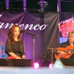 20140615_cultura_flamenco_r_fantova_03