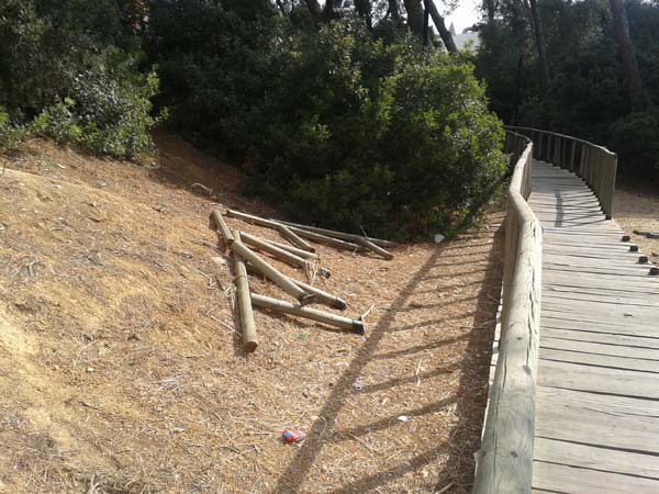 Nuevos destrozos en el Puente del Pinar de la María