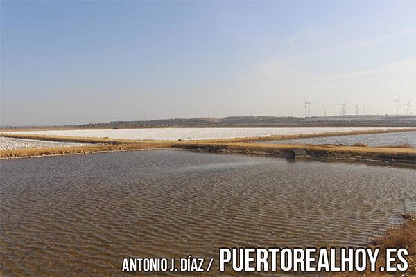 Salina de la Marisma de Cetina.