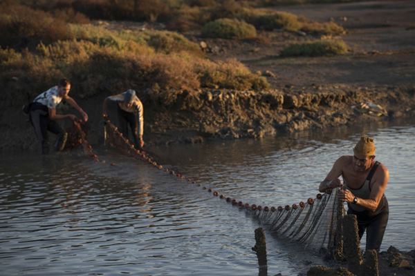 Pesca de Estero en Puerto Real