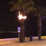 20170101_ma_incendio_palmera_petardos