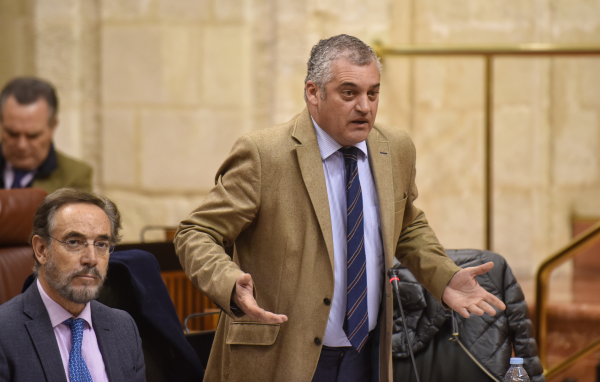 Javier Carnero, en la sesión del Parlamento de Andalucía