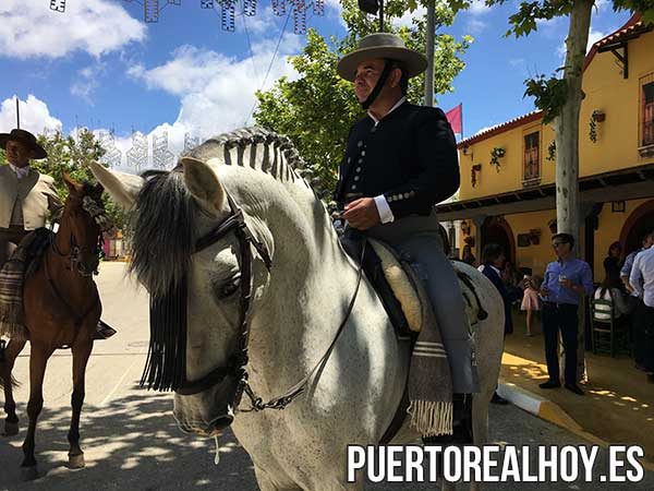 Caballo frente a la Peña 5x5.