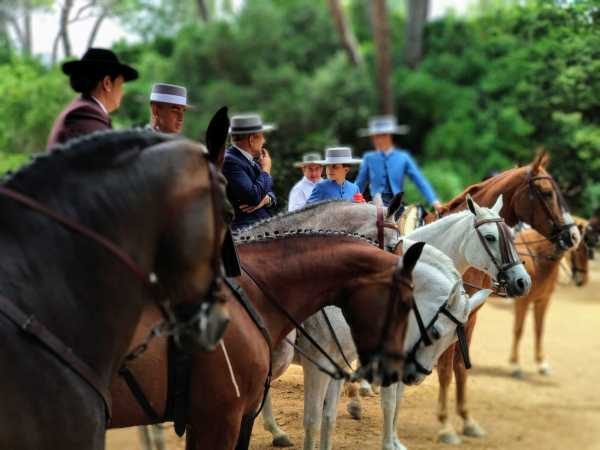 Caballos en el Patio Negro.