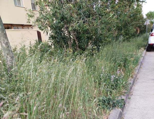 EQUO denuncia el abandono de las zonas verdes de “El Almendral”