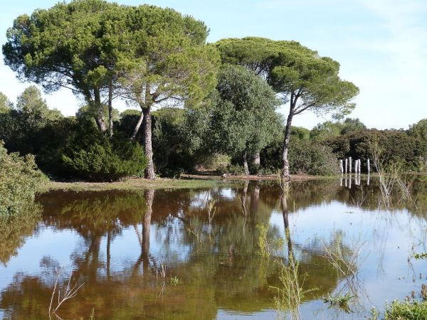 Parque de Los Toruños y La Algaida, en Puerto Real.