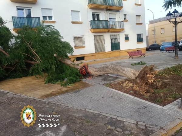 El temporal “Bernard” deja multitud de incidencias en Puerto Real