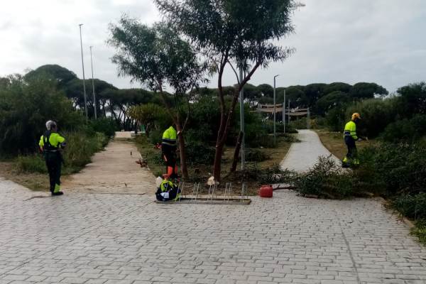 Desbroce y limpieza en el Parque de Casines por parte del GEN