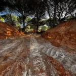 Obras que se realizan en la Dehesa de las Yeguas, denunciadas por Ecologistas en Acción.