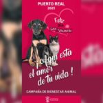 20250213_cartel_campana_bienestar_animal_02