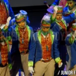 Comparsa «Los Sensatos». Foto: Junior Fernández