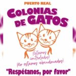 20250311_cartel_colonias_gatos_02