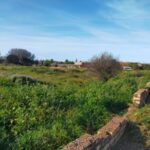 20250408_parcela_continuacion_calle_Sol