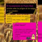 20250529_cartel_campana_proteccion_animales_verano_02