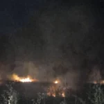 Incendio en la Dehesa de las Yeguas. Foto: Plan INFOCA.