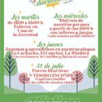 20250626_cartel_actividades_verano