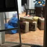 20250717_local_operacion_palmito_01