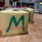 20250717_local_operacion_palmito_02