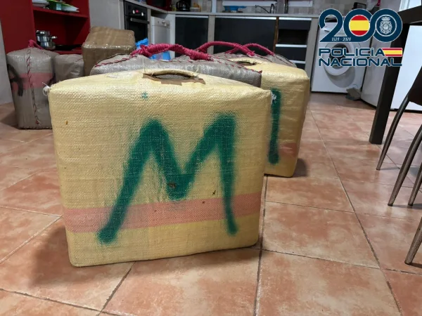 Fardos incautados en la Operación Palmito. Foto: Policía Nacional