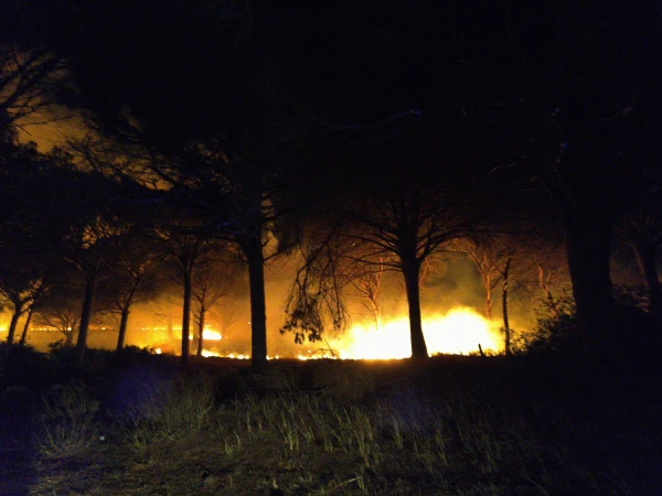 Incendio en la Dehesa de las Yeguas. Foto: Facebook de Aurora Salvador
