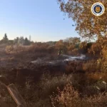 20251007_local_incendio_dehesa_yeguas_02