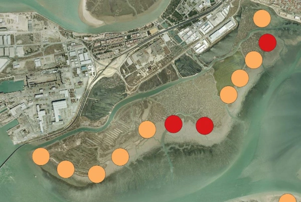 Distribución espacial de las tasas de cambio del borde de las marismas (tasa de cambio entre puntos extremos, EPR; metros por año) en la Bahía interior de Cádiz, obtenidas mediante el Sistema Digital de Análisis de la Línea de Costa (DSAS) para el periodo 1978–2022. Los puntos representados corresponden a un subconjunto representativo de transectos seleccionados para facilitar la lectura del mapa.